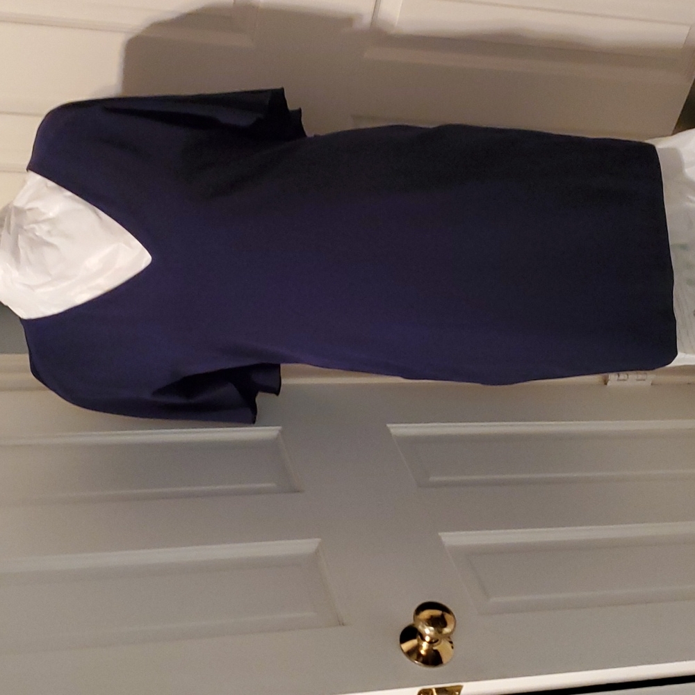 Navy  Neiman dress